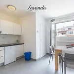 Lux דירה *