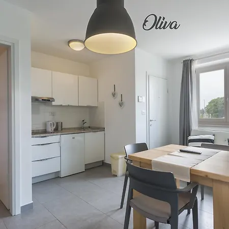 Lux Apartment